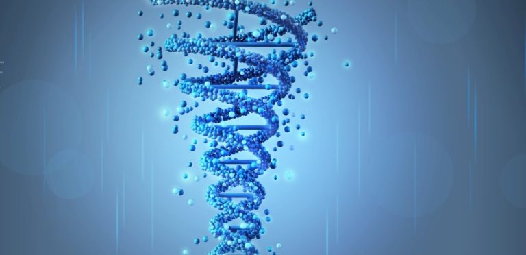 日本巨鯨大額追蹤TG自動化機器人：完整專題整理與延伸資源